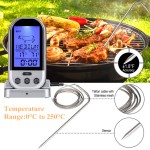 Digital insertion cooking / kitchen thermometer and for barbeque, gray color, model TG01